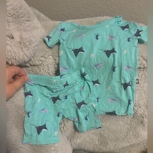 Kite baby short sleeve and shirts sets